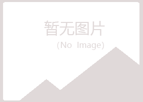 宕昌县紫山能源有限公司